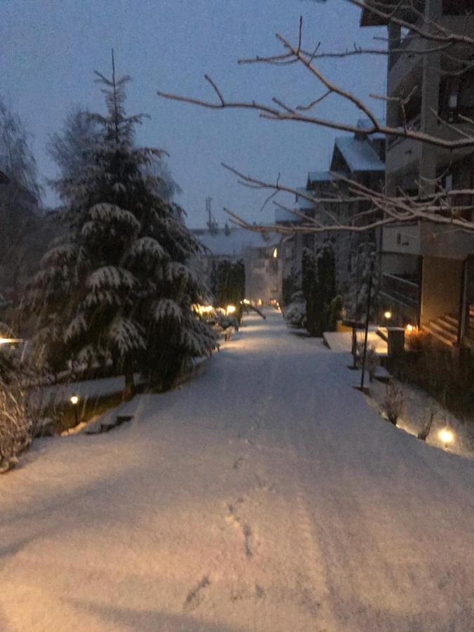 Private Spa Luxury Apartments Bansko Zewnętrze zdjęcie